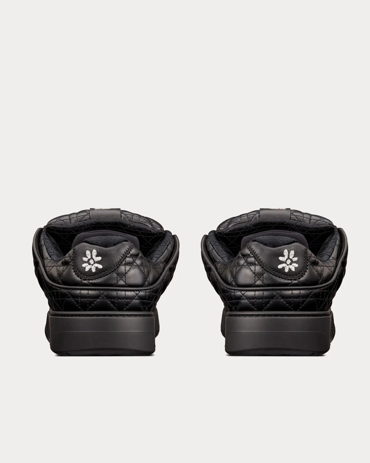 Dior B9S Skater Black
