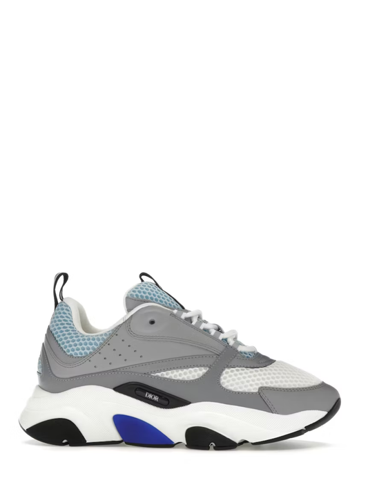 Dior B22  White Grey
